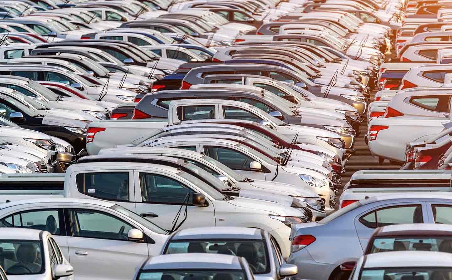 Otomotiv Sektörü Mayıs 2025 Verileri: Türkiye