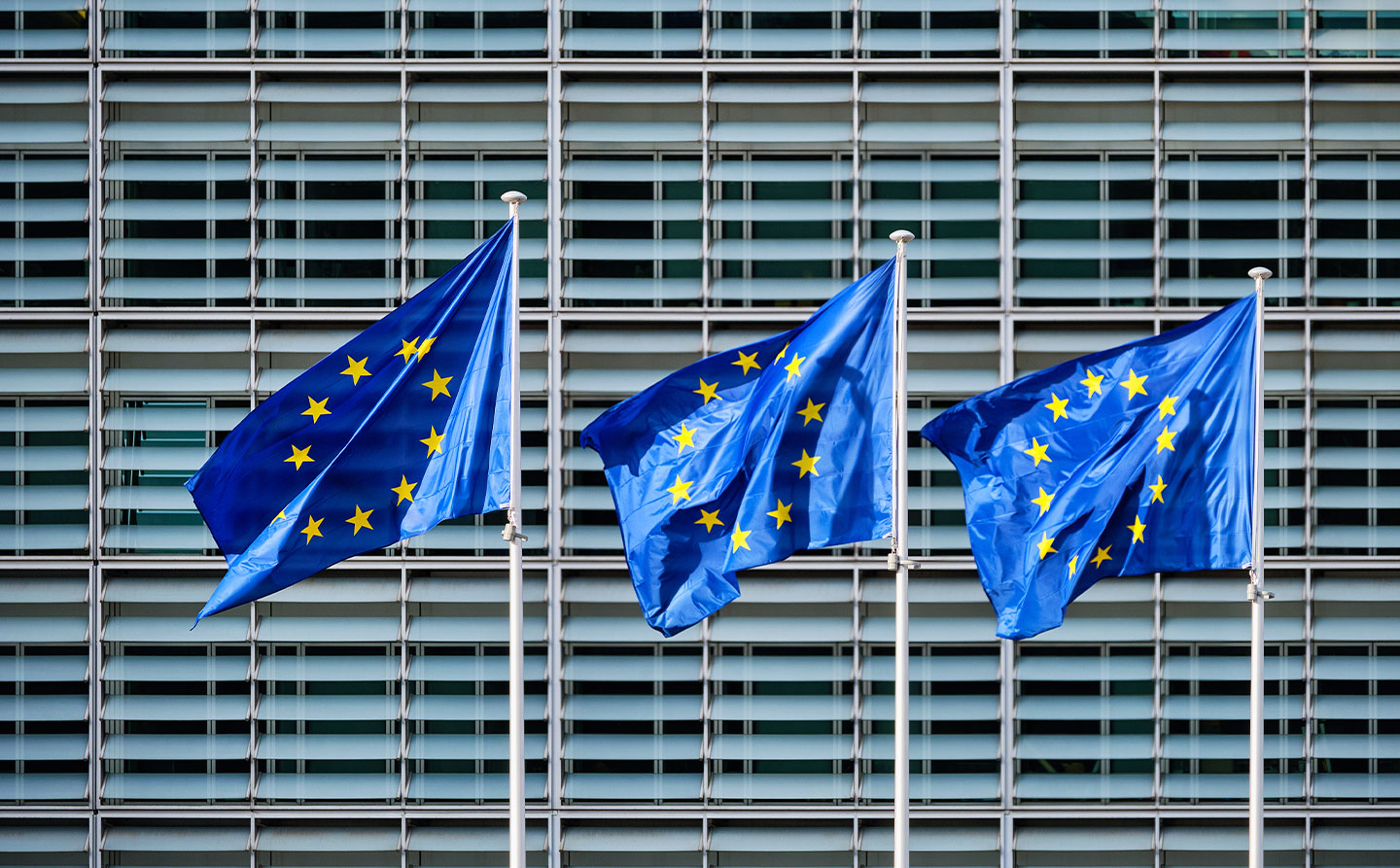 Avrupa’da Para Politikası Günü