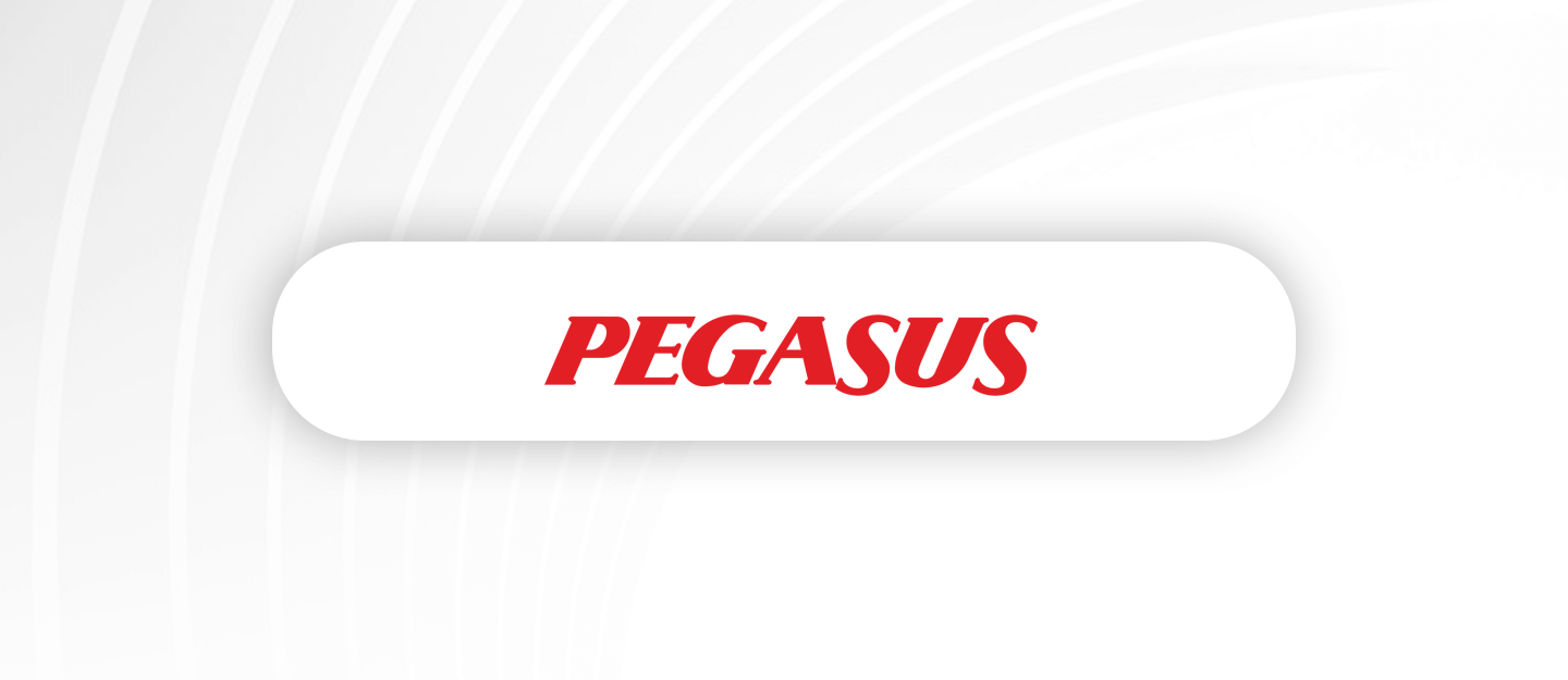 PGSUS 2.Çeyrek Bilanço Beklentisi