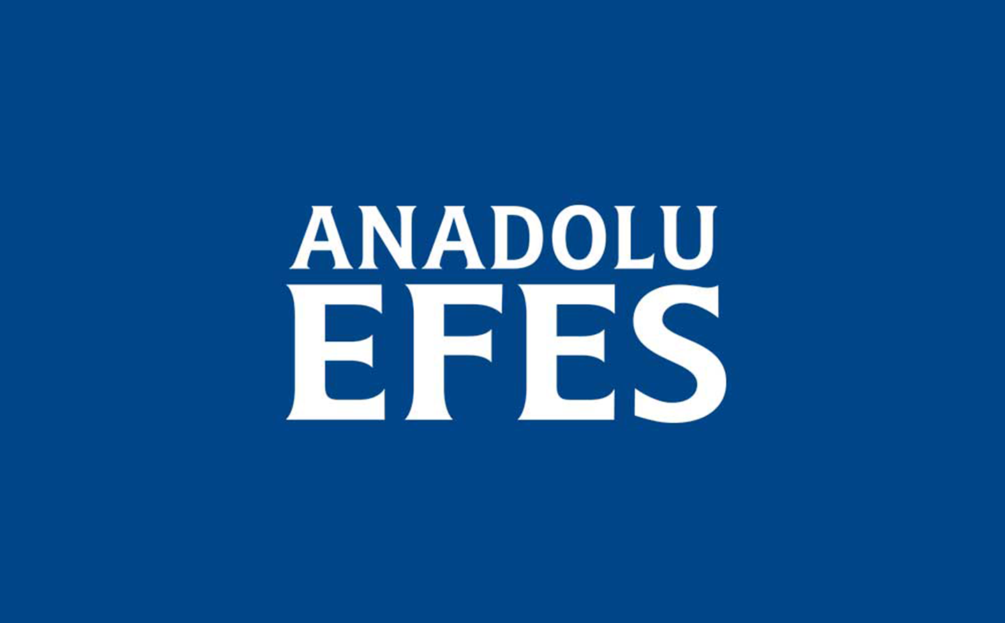 Anadolu Efes Analist Toplantı Notu