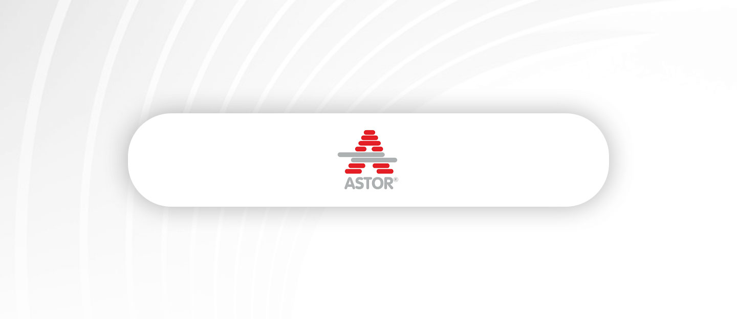 Astor Enerji A.Ş. – 2024 Finansal Performans Analizi ve 2025 Beklentileri