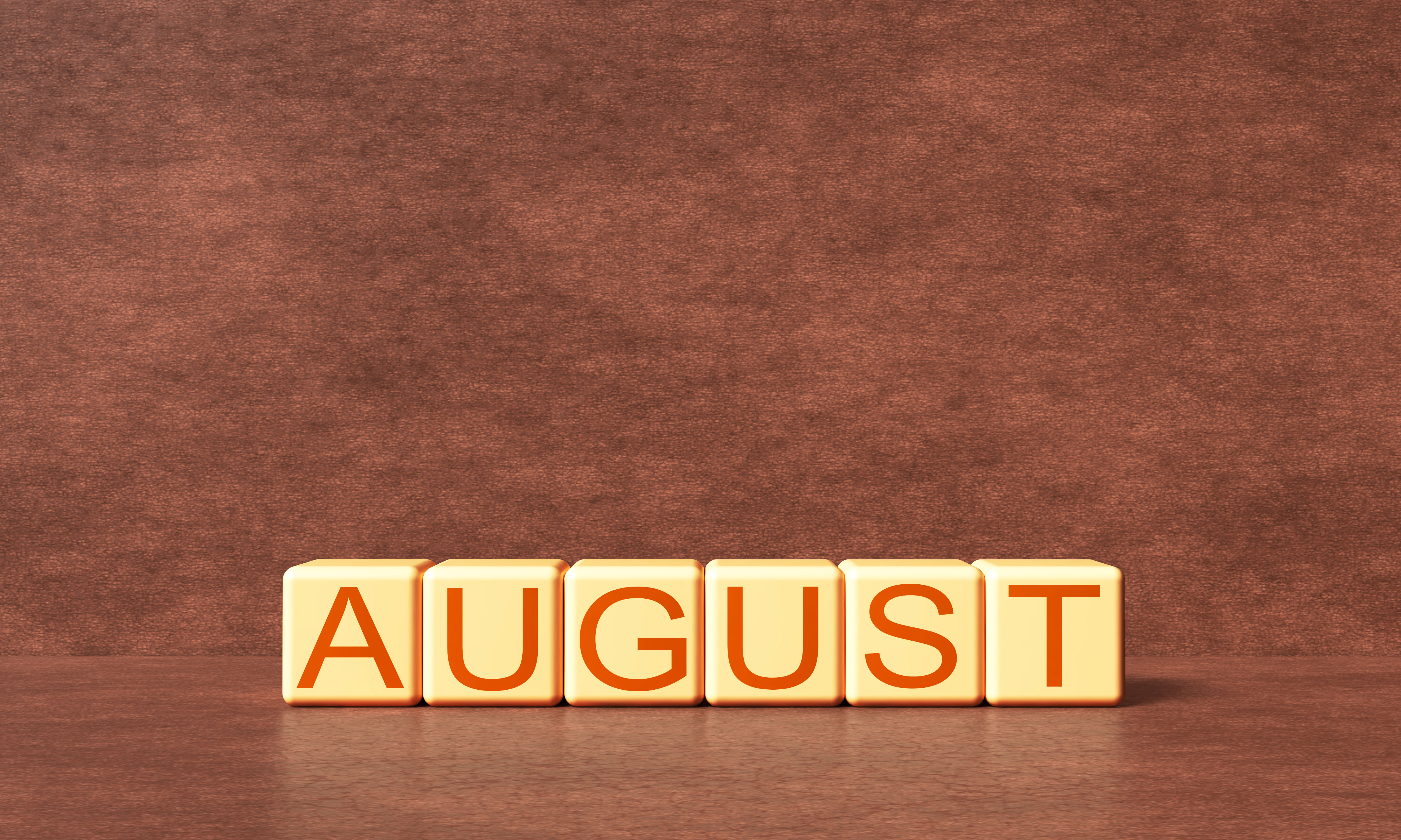 Cari Denge Ağustos’ta Rekor Kırdı