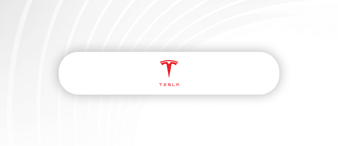 TESLA Bilanço Analizi