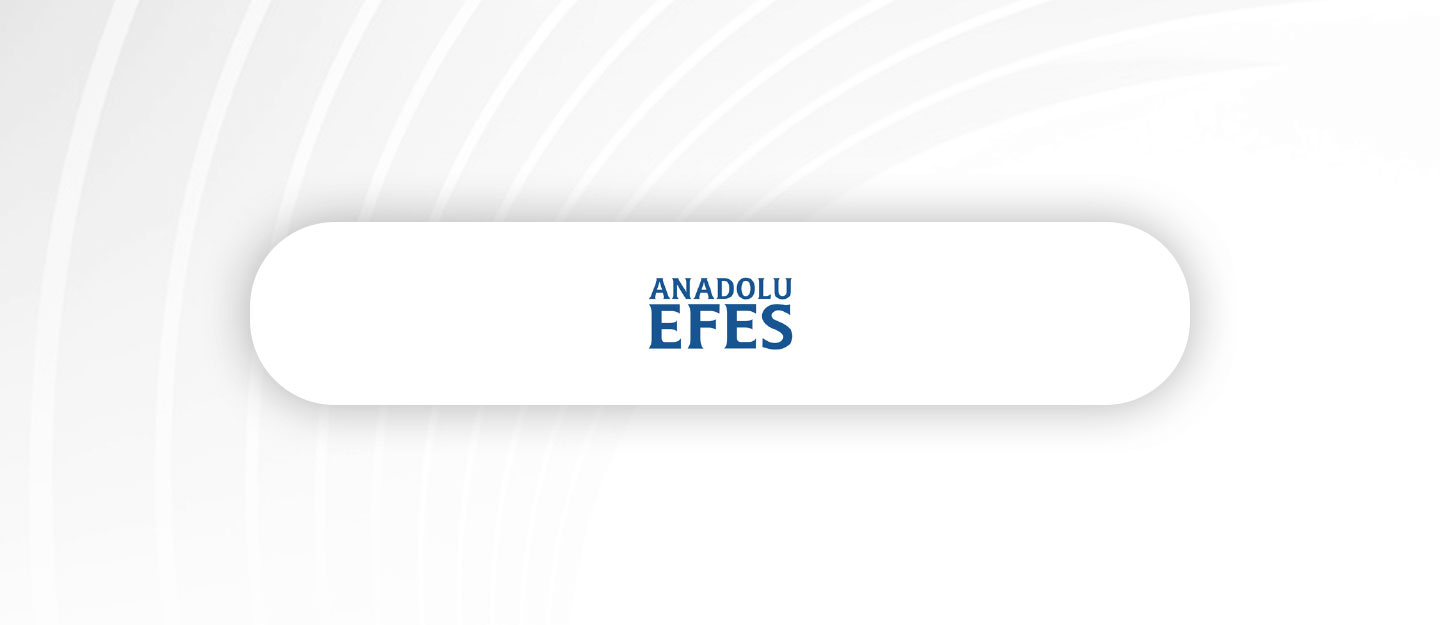 Anadolu Efes Bilanço Analizi