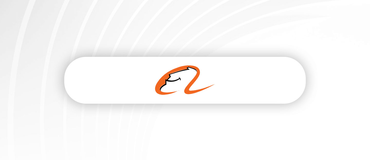 Alibaba Bilanço Analiz