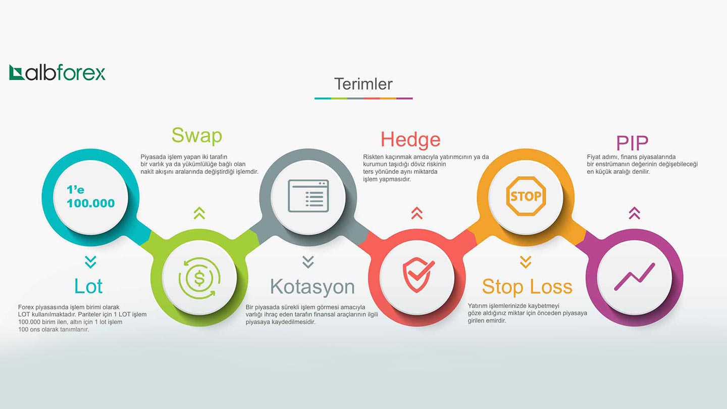 Forex Terimleri ve Anlamları