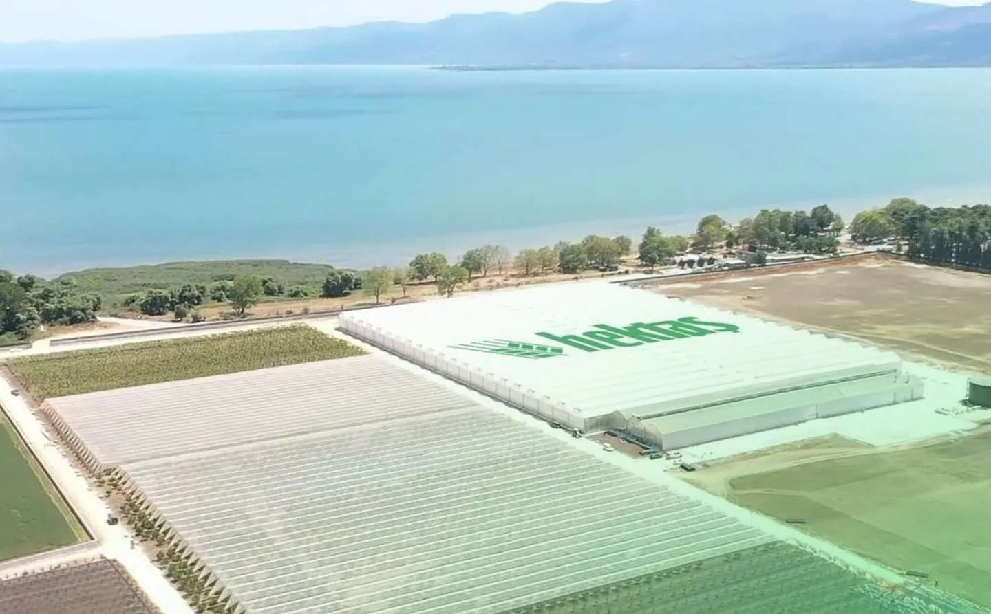 Hektaş Hisse Nasıl Alınır? HEKTS Nereden Alınır?