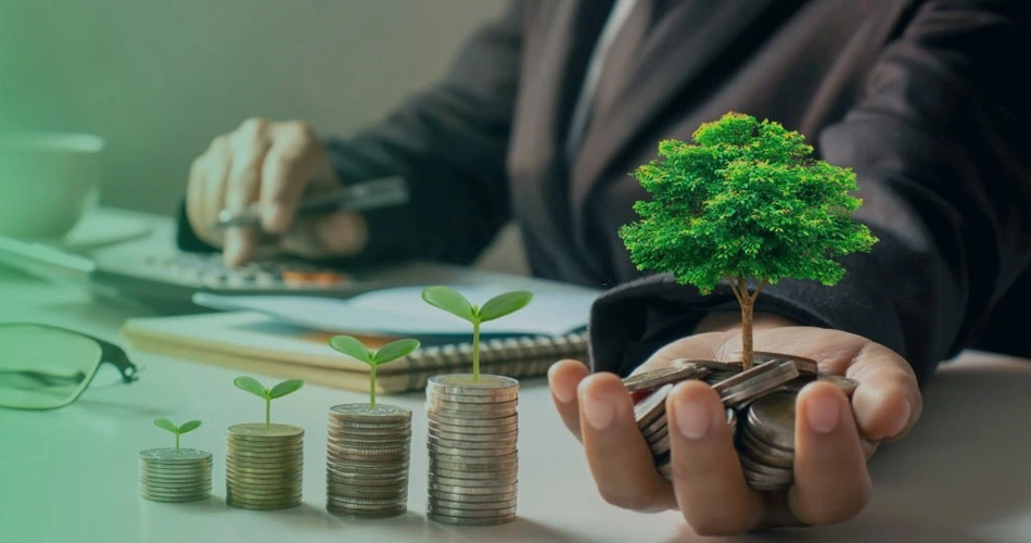 yatırım teşvik belgesi nedir