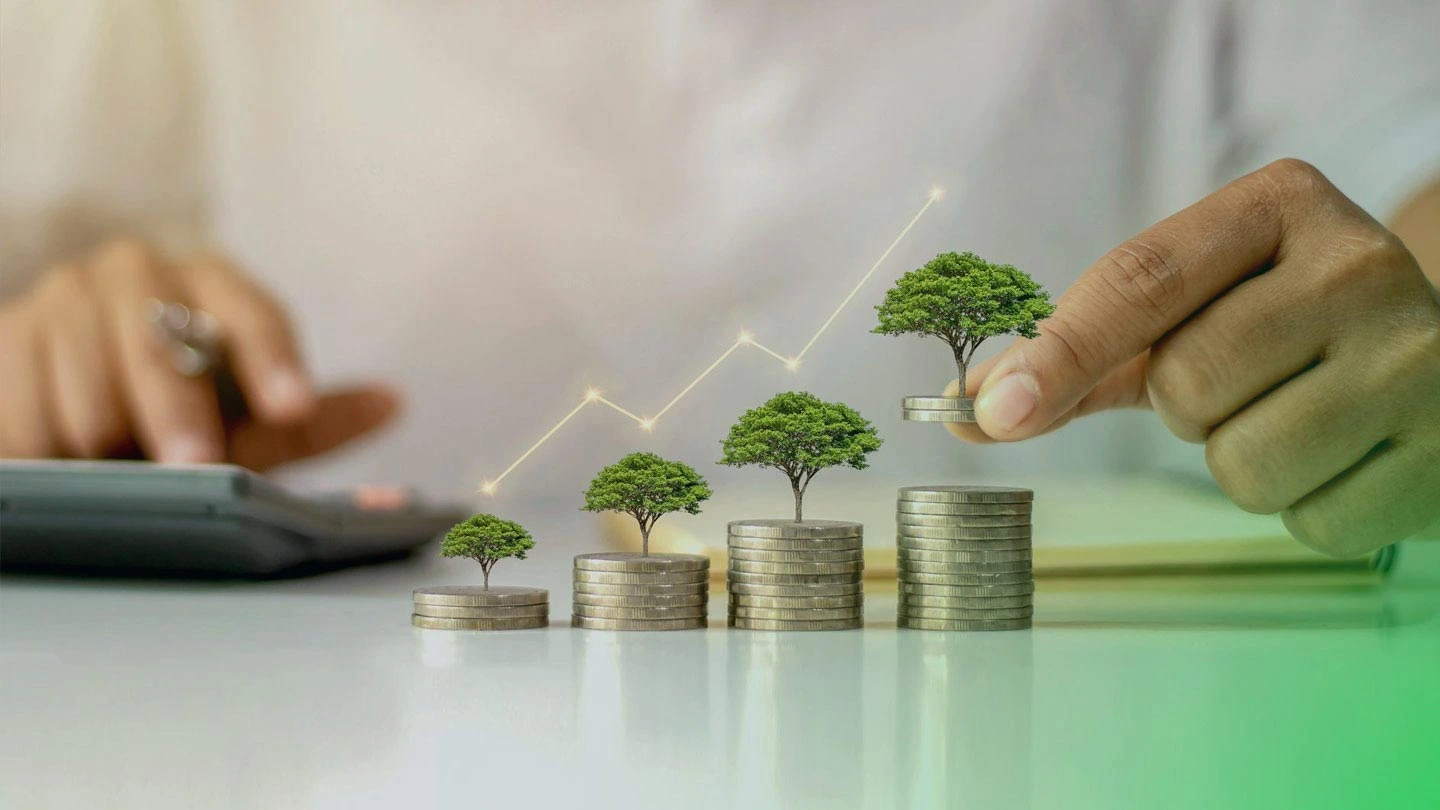 yatırım teşvik belgesi